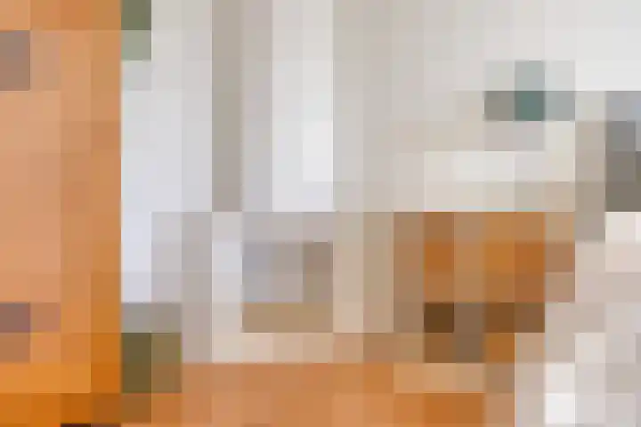 Soestdijksekade 295 Den Haag thumbnail 15