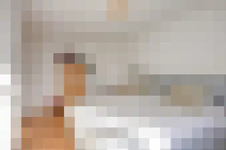 Soestdijksekade 295 Den Haag thumbnail 16