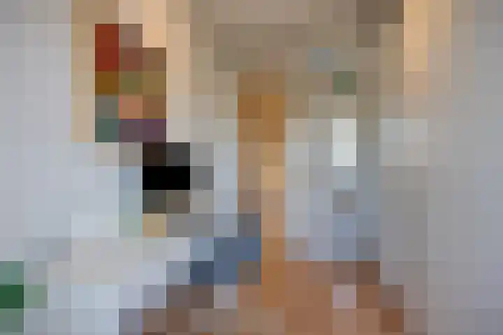 Soestdijksekade 295 Den Haag thumbnail 22