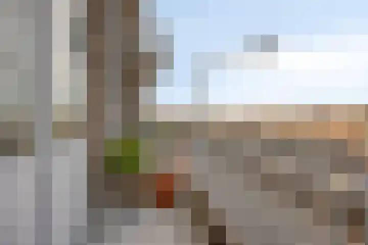 Soestdijksekade 295 Den Haag thumbnail 23
