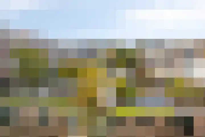 Soestdijksekade 295 Den Haag thumbnail 4