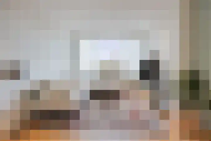 Soestdijksekade 295 Den Haag thumbnail 8