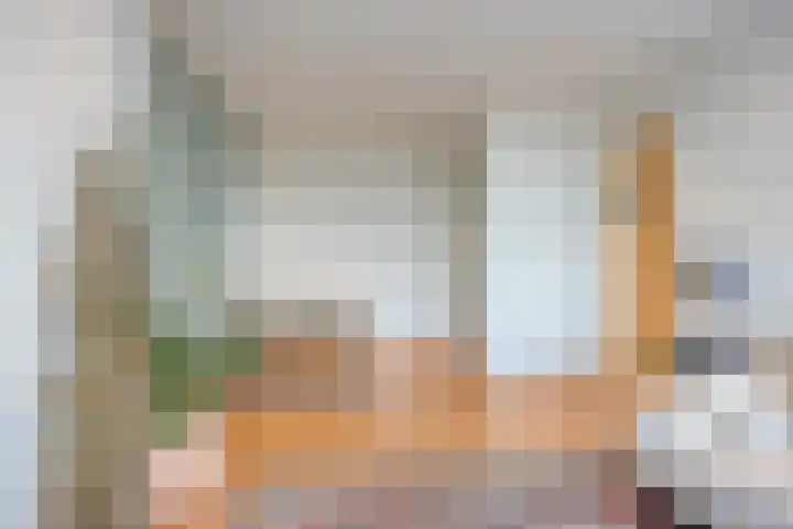 Soestdijksekade 295 Den Haag thumbnail 9