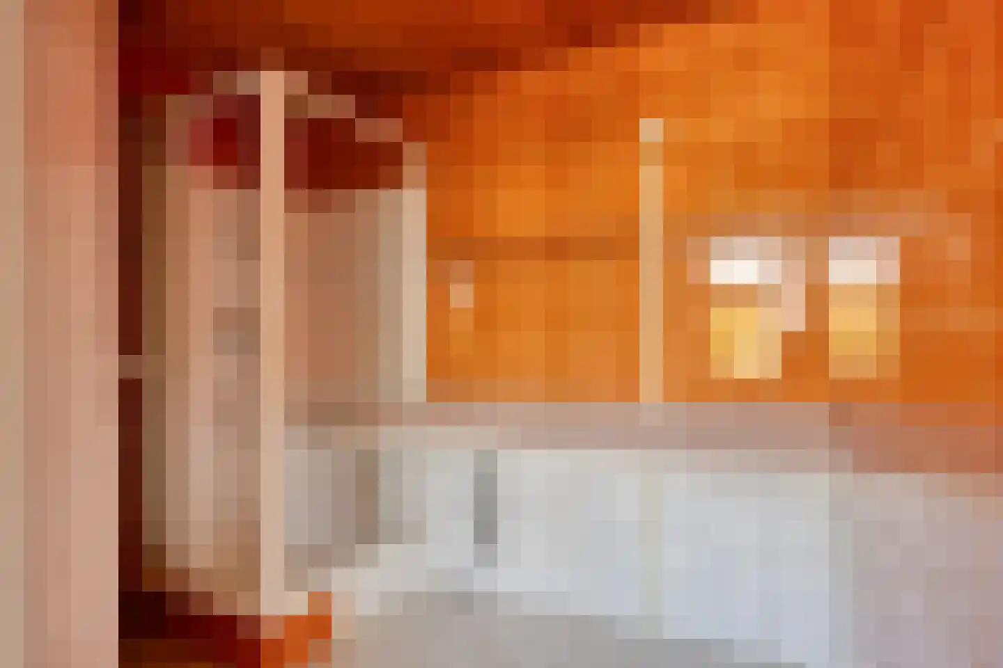 Soestdijksekade 308 Den Haag thumbnail 10