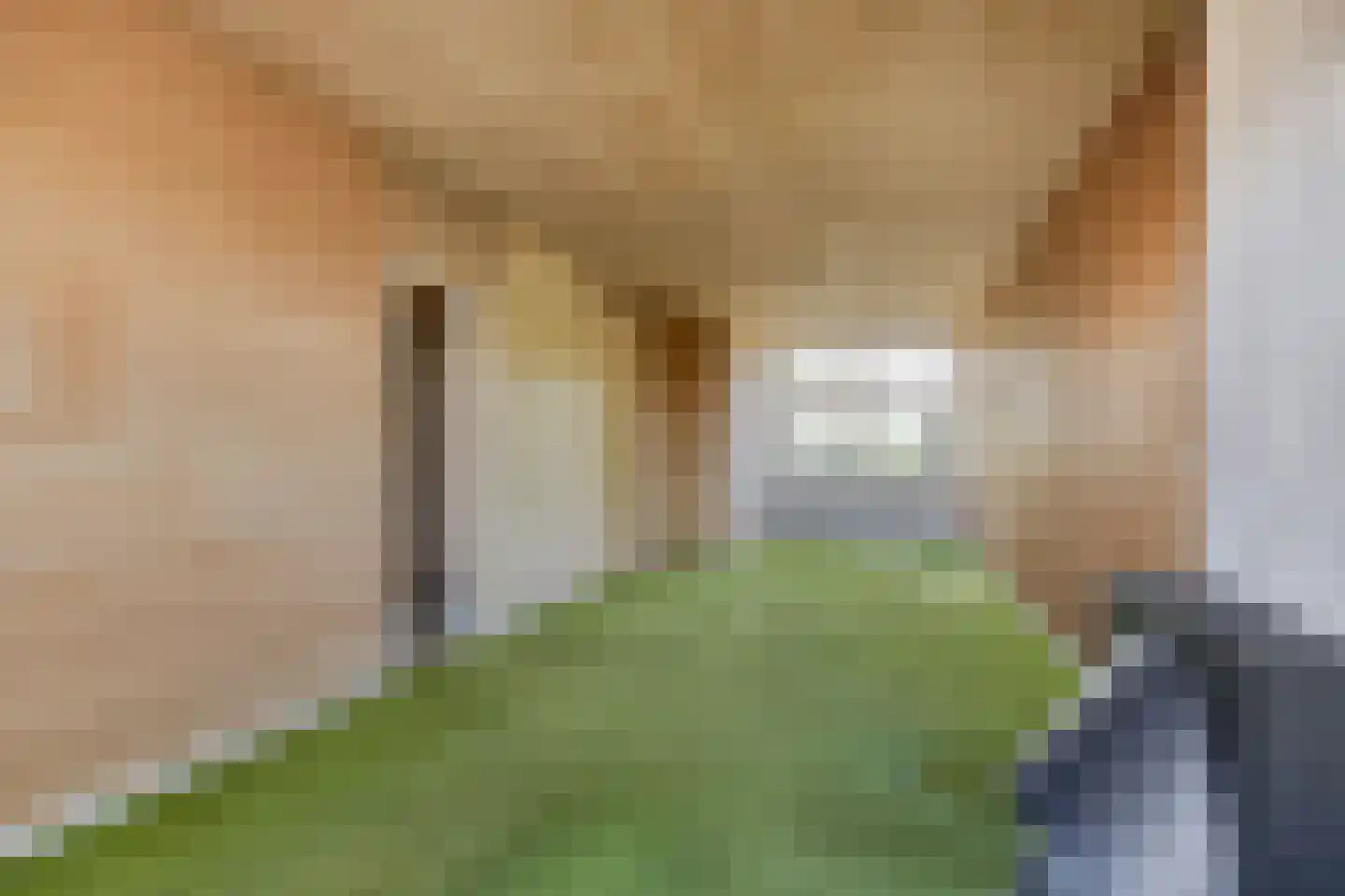 Soestdijksekade 308 Den Haag thumbnail 14
