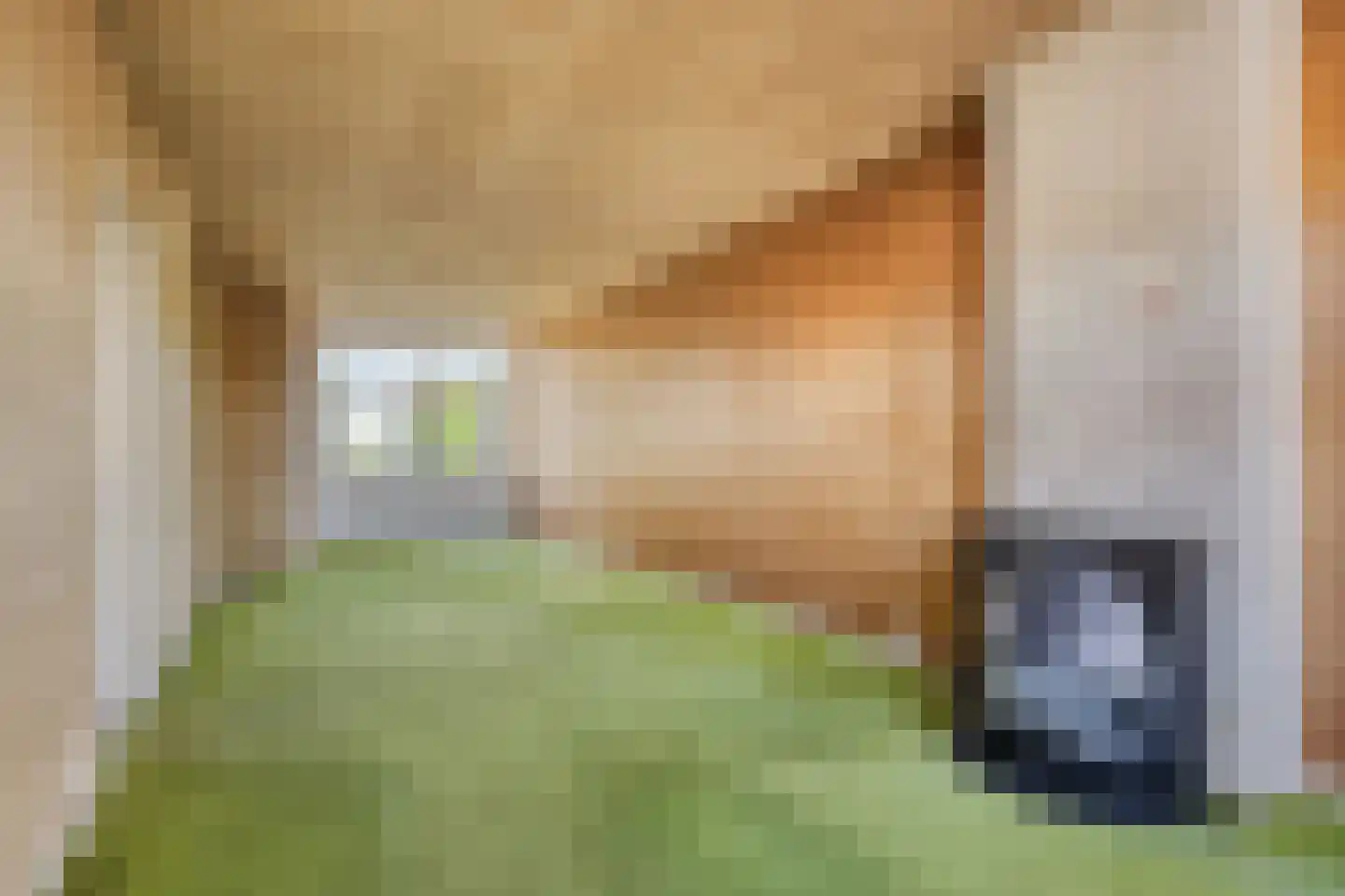 Soestdijksekade 308 Den Haag thumbnail 15