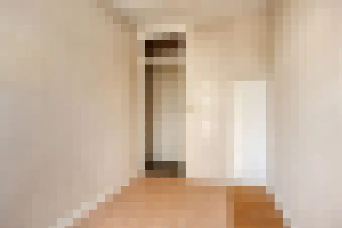 Soestdijksekade 308 Den Haag thumbnail 17