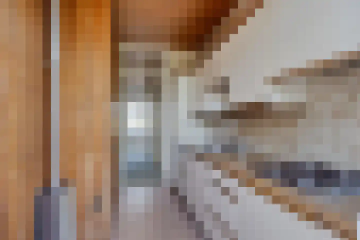 Soestdijksekade 308 Den Haag thumbnail 19