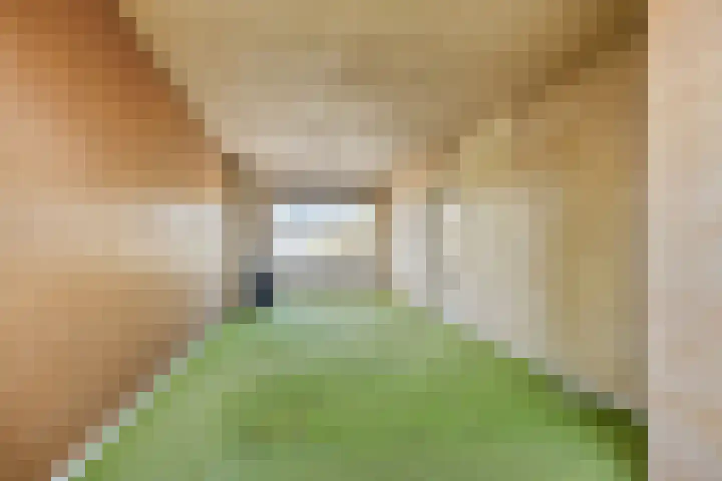 Soestdijksekade 308 Den Haag thumbnail 4