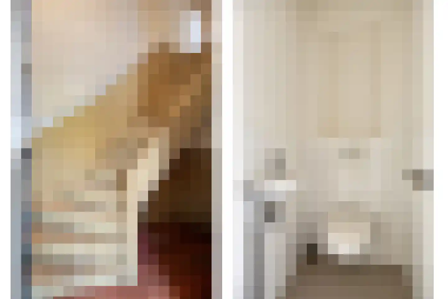 Soestdijksekade 308 Den Haag thumbnail 6