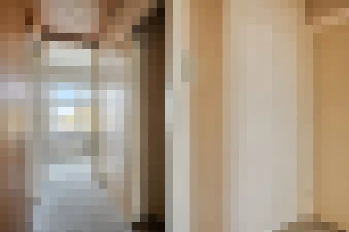 Soestdijksekade 308 Den Haag thumbnail 7