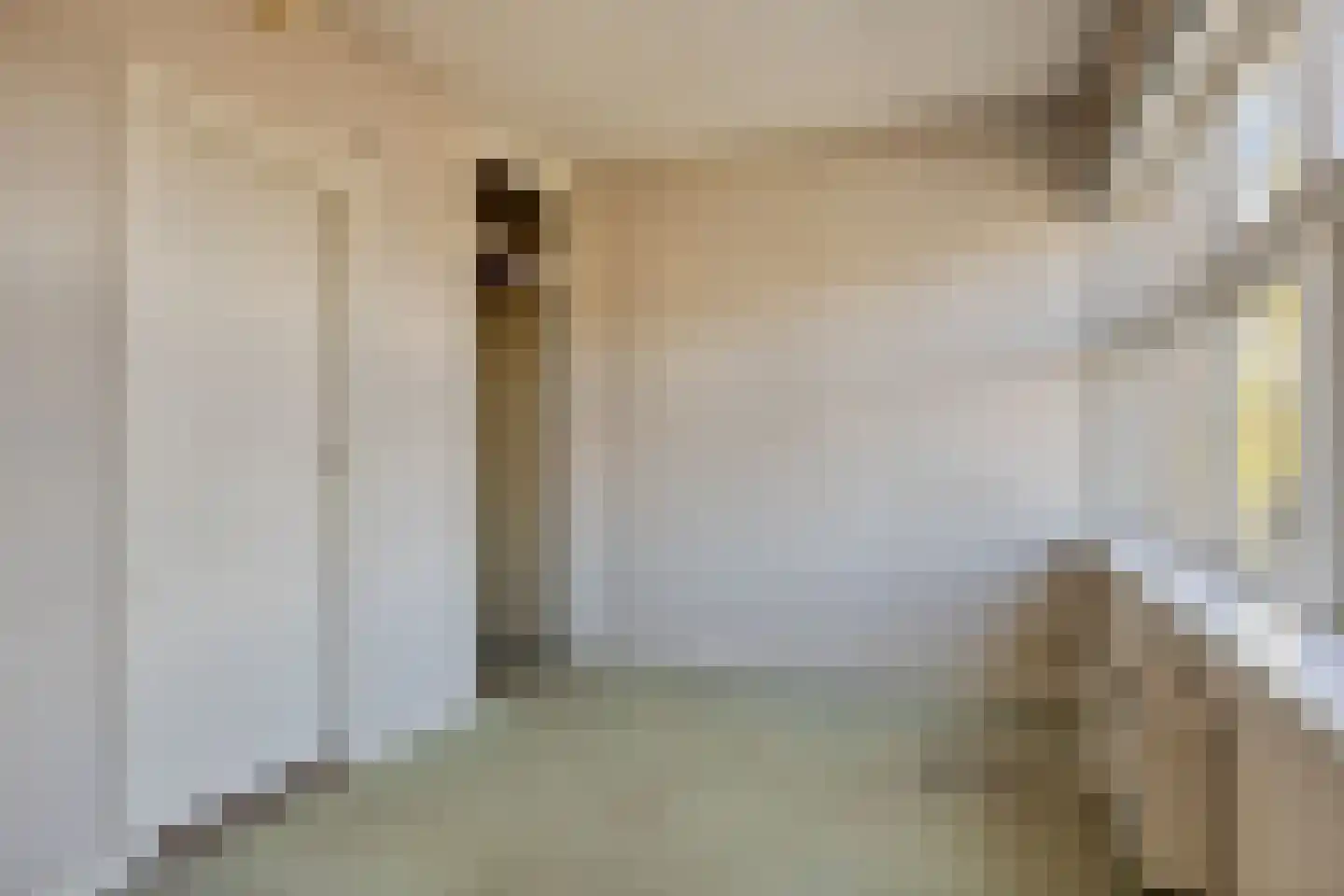 Soestdijksekade 308 Den Haag thumbnail 8