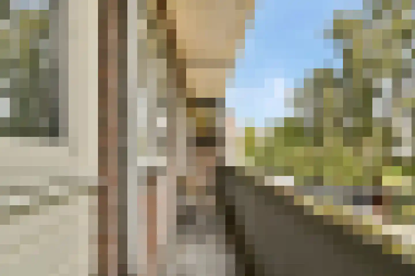 Soestdijksekade 314 A Den Haag thumbnail 22
