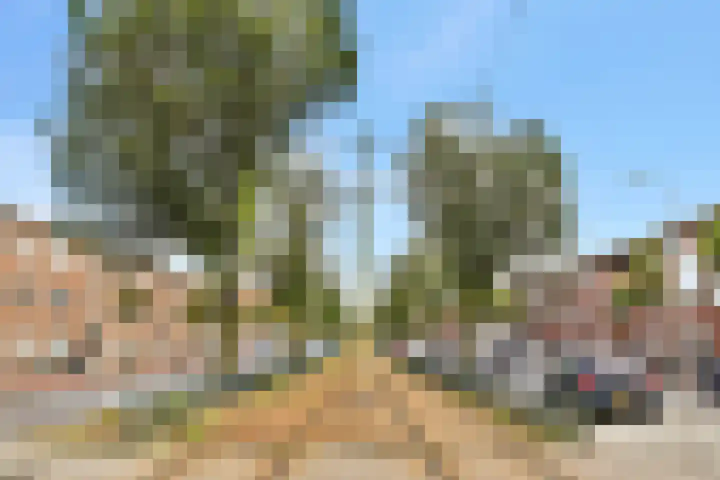 Soestdijksekade 314 A Den Haag thumbnail 26