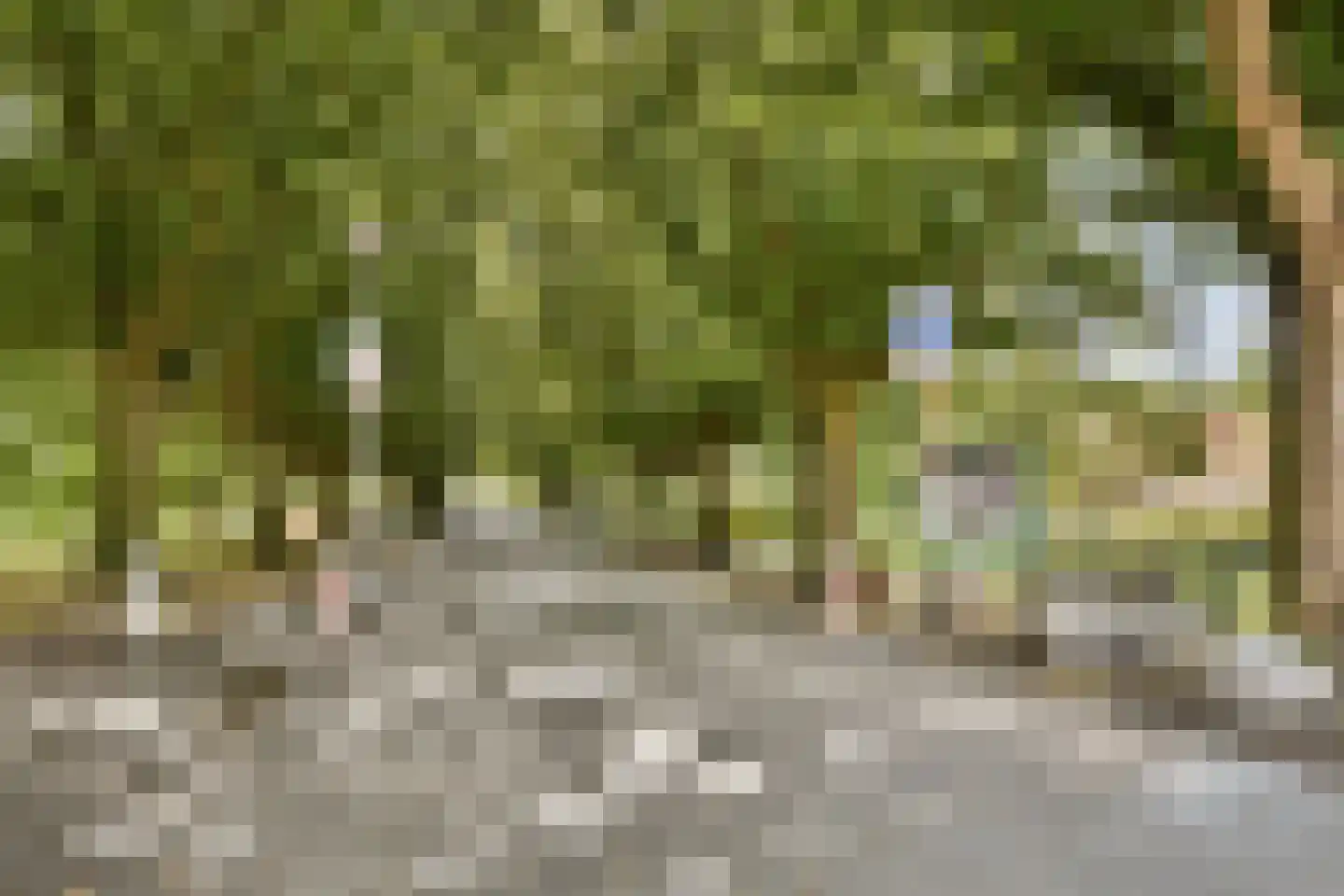 Soestdijksekade 314 A Den Haag thumbnail 27