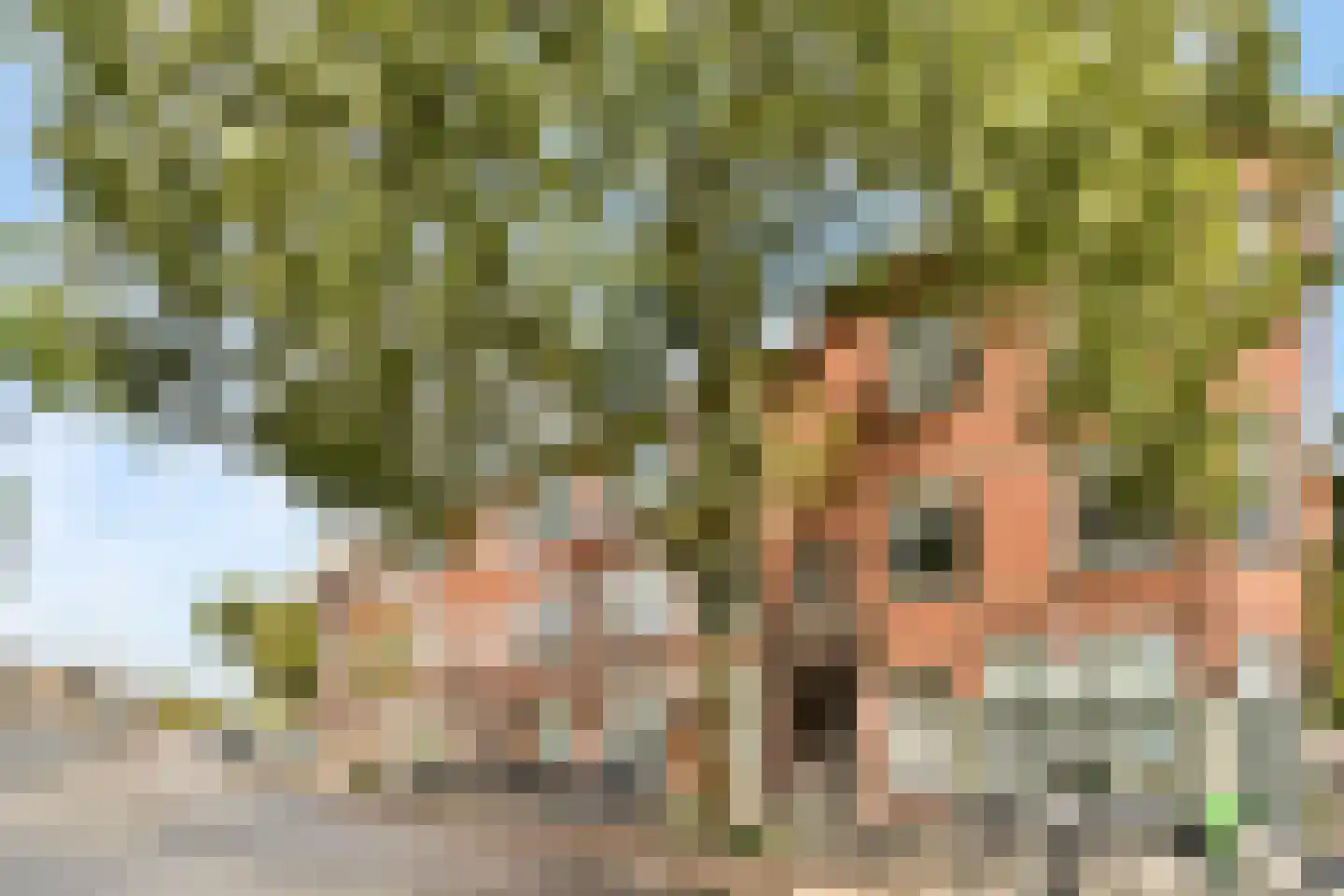 Soestdijksekade 314 A Den Haag thumbnail 28