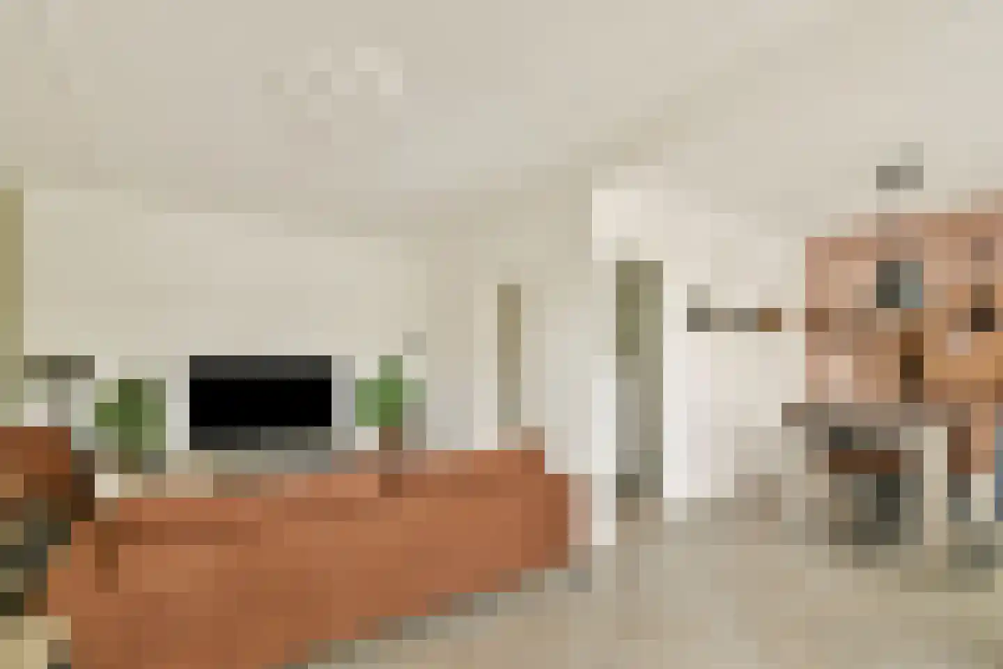 Soestdijksekade 314 A Den Haag thumbnail 4