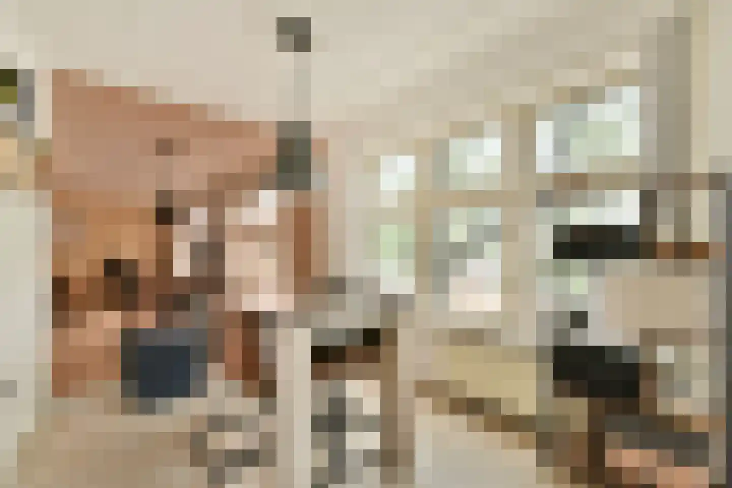 Soestdijksekade 314 A Den Haag thumbnail 8