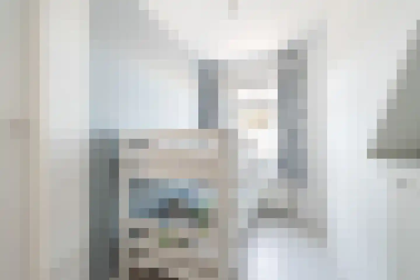 Soestdijksekade 328 Den Haag thumbnail 12