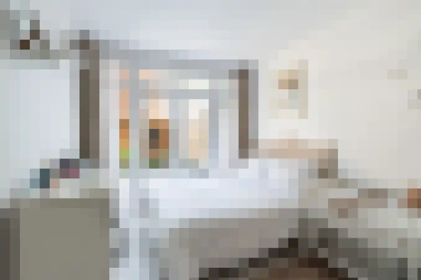 Soestdijksekade 328 Den Haag thumbnail 13