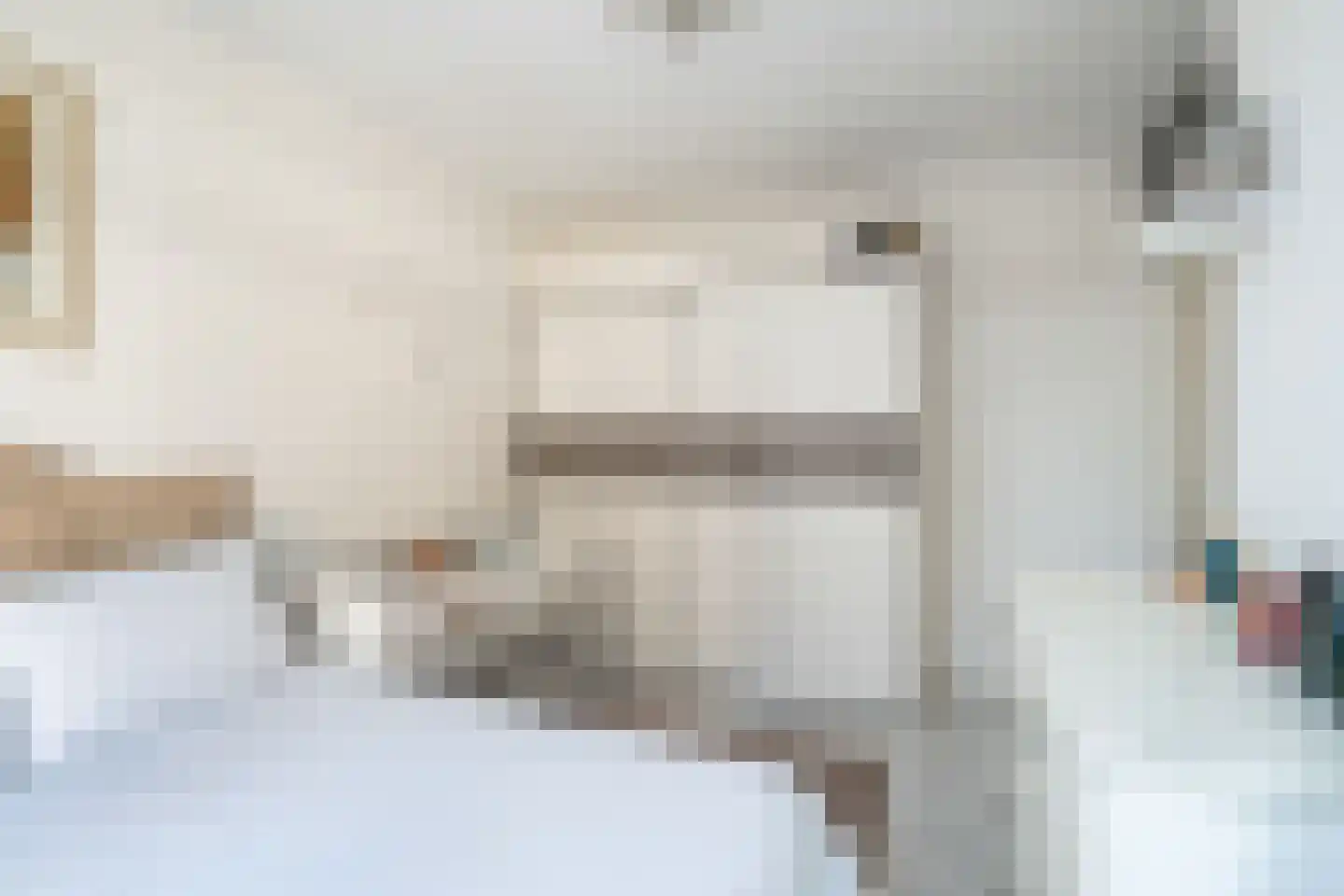 Soestdijksekade 328 Den Haag thumbnail 14