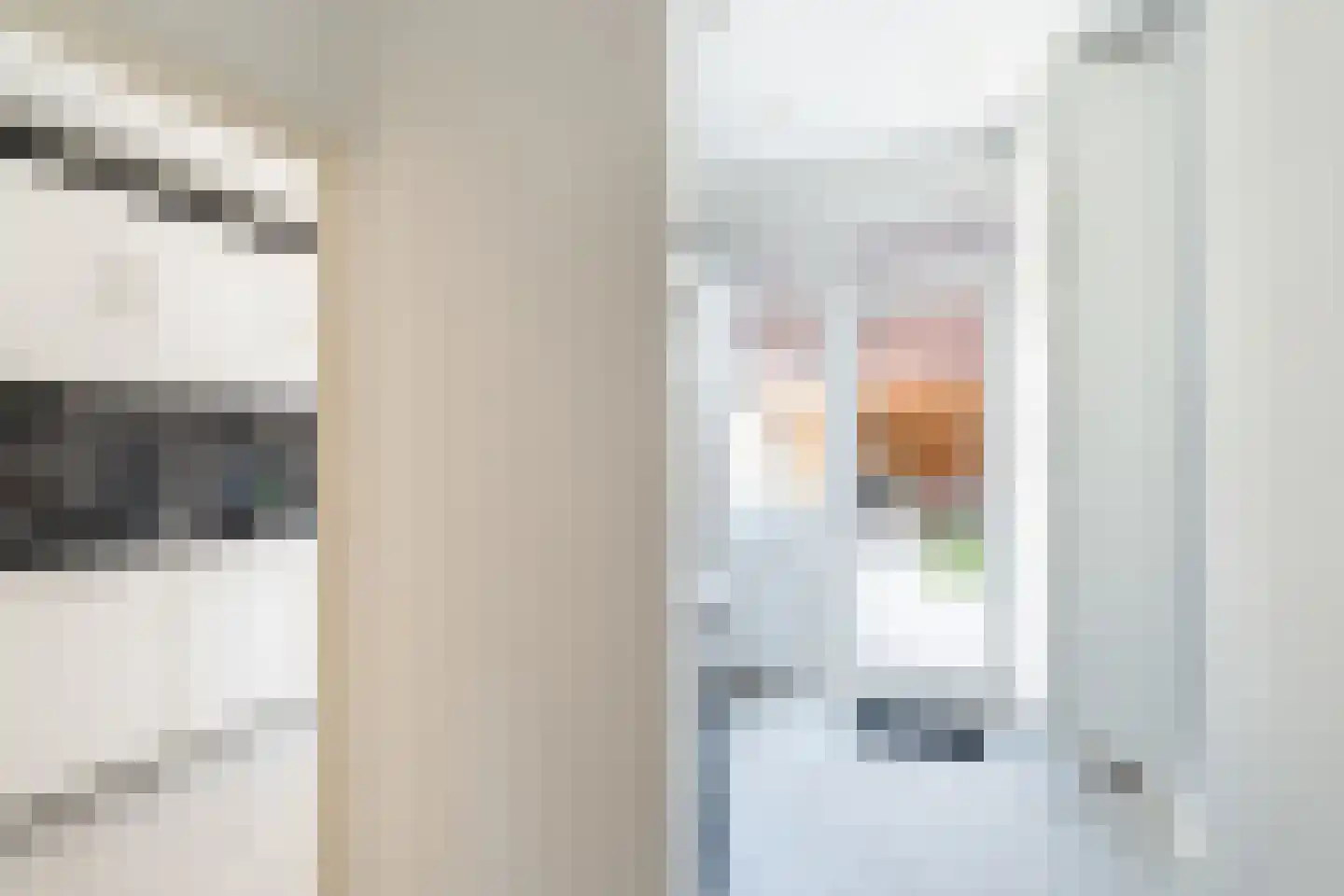 Soestdijksekade 328 Den Haag thumbnail 15