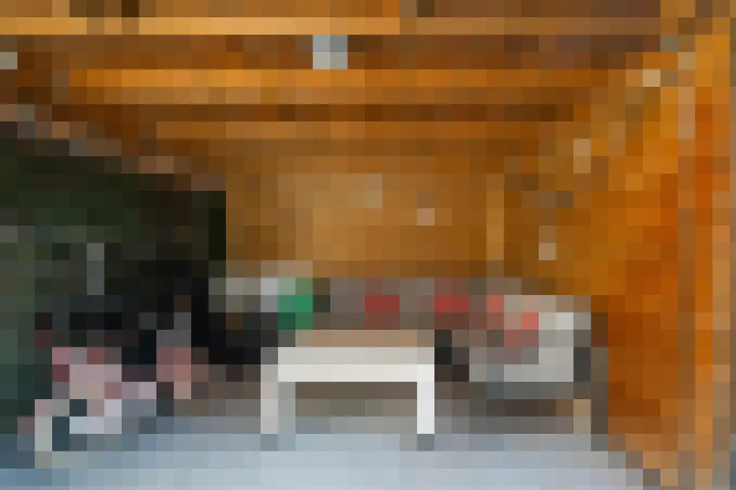 Soestdijksekade 328 Den Haag thumbnail 22