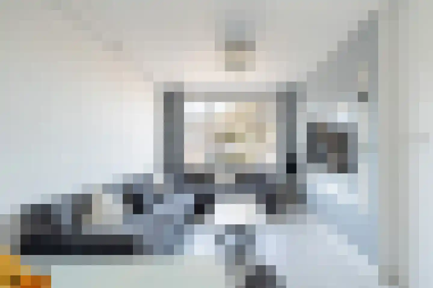 Soestdijksekade 328 Den Haag thumbnail 4