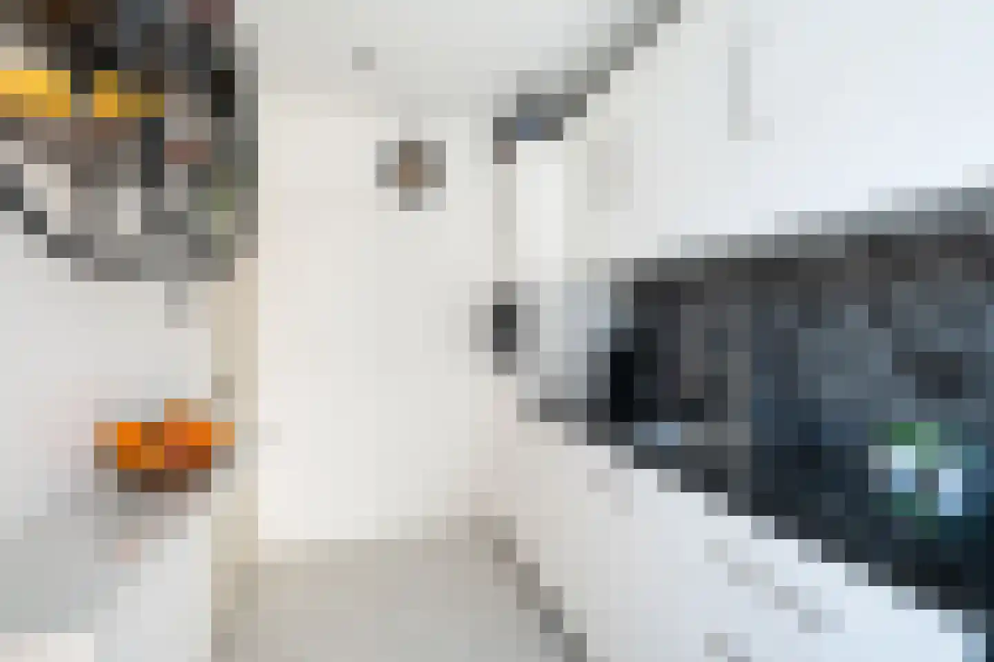 Soestdijksekade 328 Den Haag thumbnail 9
