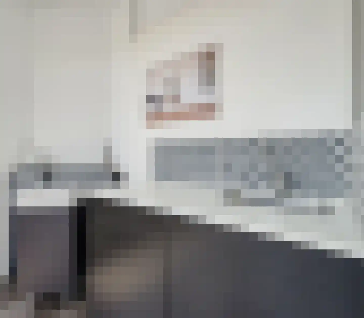 Soestdijksekade 329 Den Haag thumbnail 10