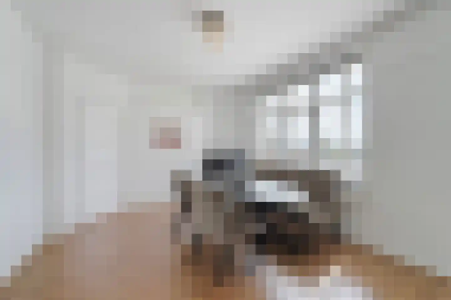 Soestdijksekade 329 Den Haag thumbnail 14