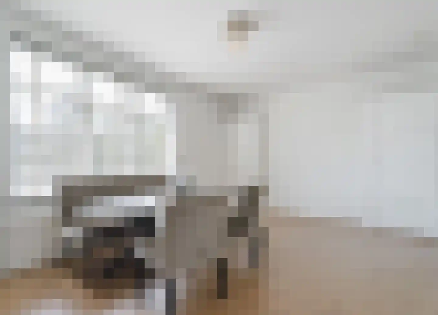 Soestdijksekade 329 Den Haag thumbnail 17