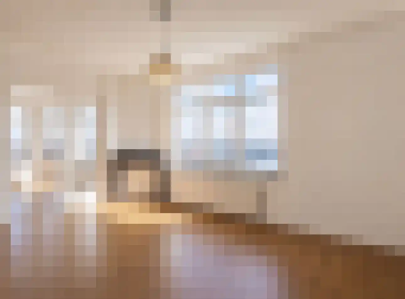 Soestdijksekade 329 Den Haag thumbnail 18