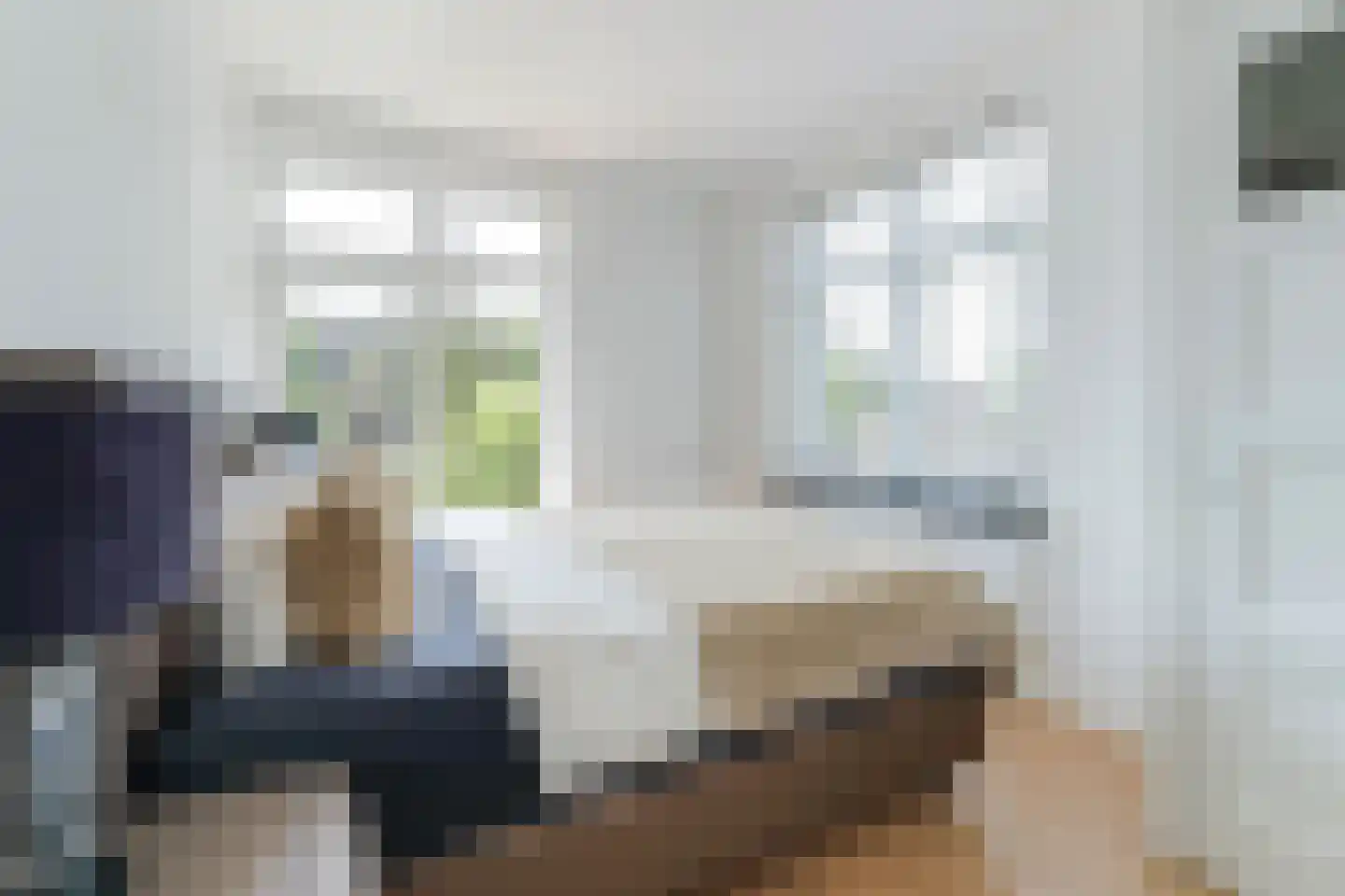 Soestdijksekade 329 Den Haag thumbnail 21