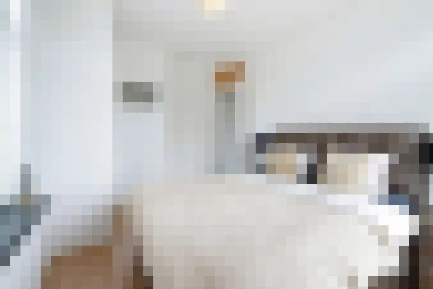 Soestdijksekade 329 Den Haag thumbnail 22