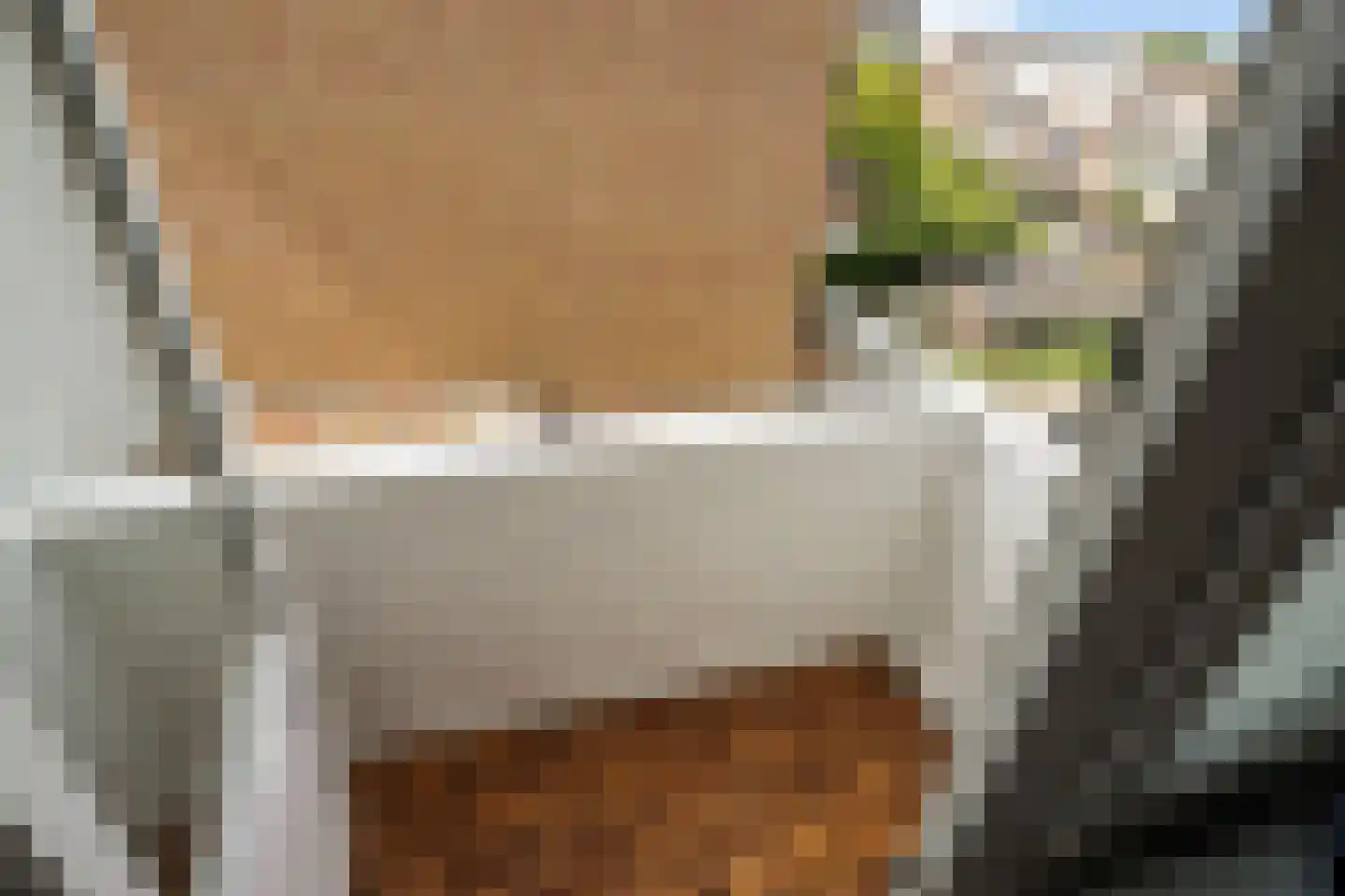 Soestdijksekade 329 Den Haag thumbnail 29