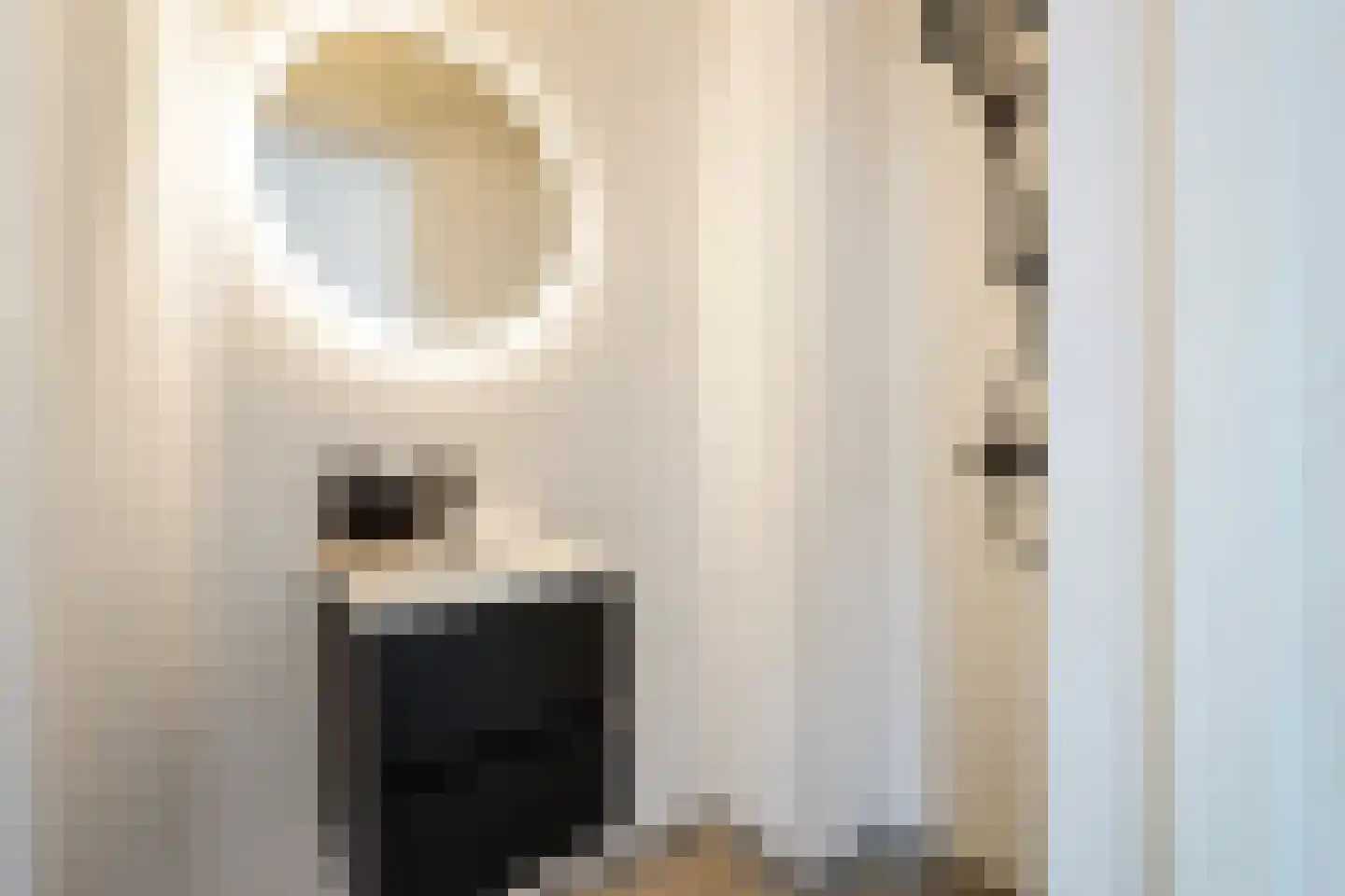 Soestdijksekade 329 Den Haag thumbnail 5
