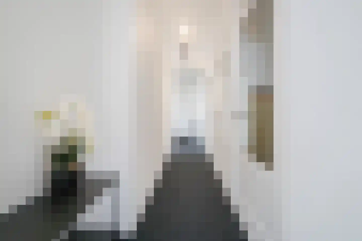 Soestdijksekade 329 Den Haag thumbnail 6