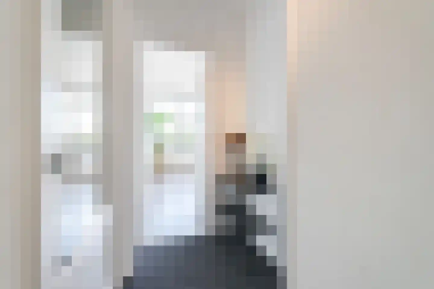Soestdijksekade 329 Den Haag thumbnail 7