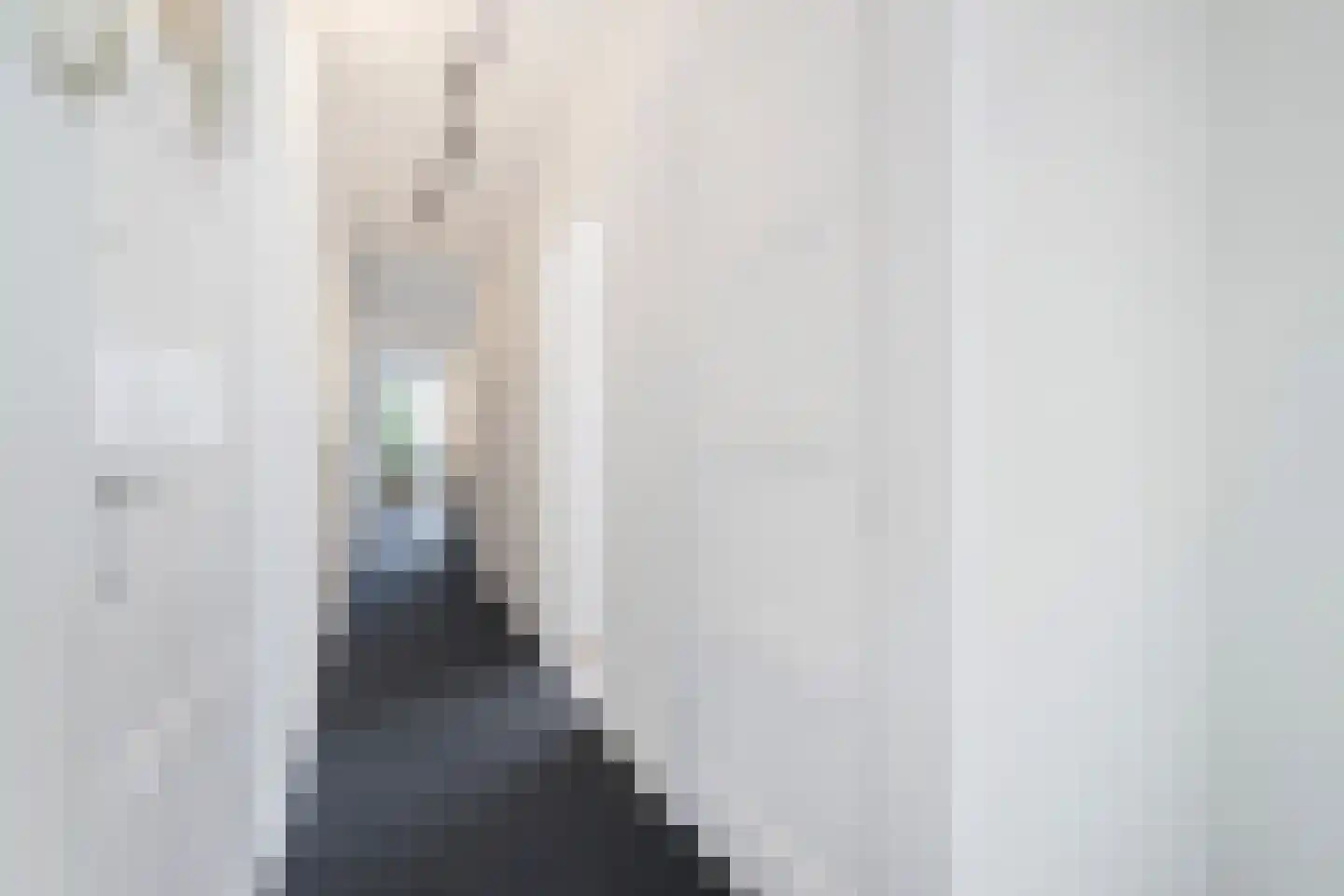 Soestdijksekade 329 Den Haag thumbnail 8