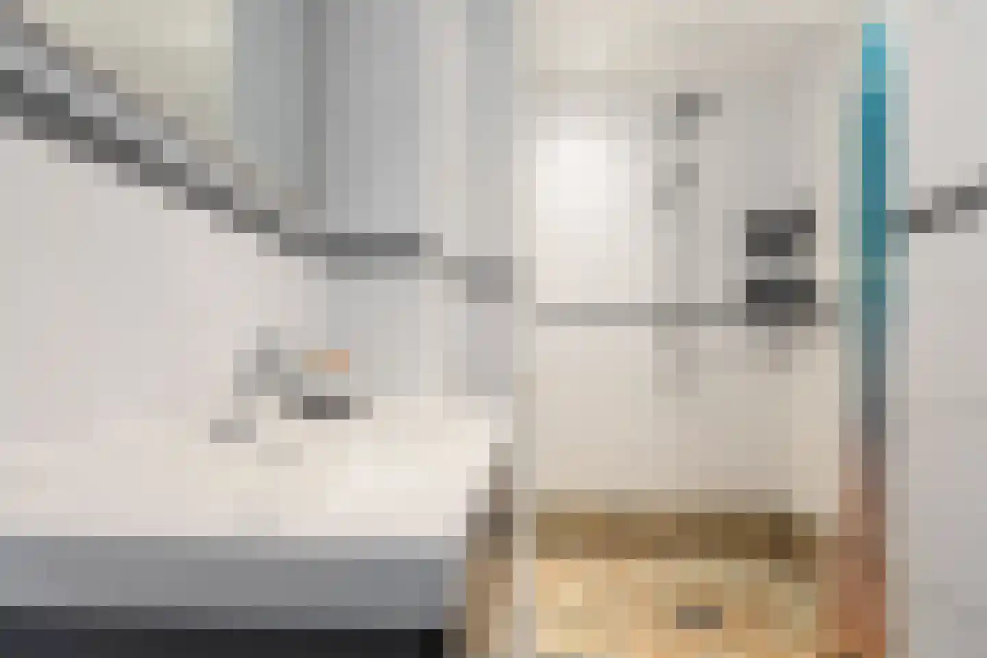 Soestdijksekade 335 Den Haag thumbnail 18