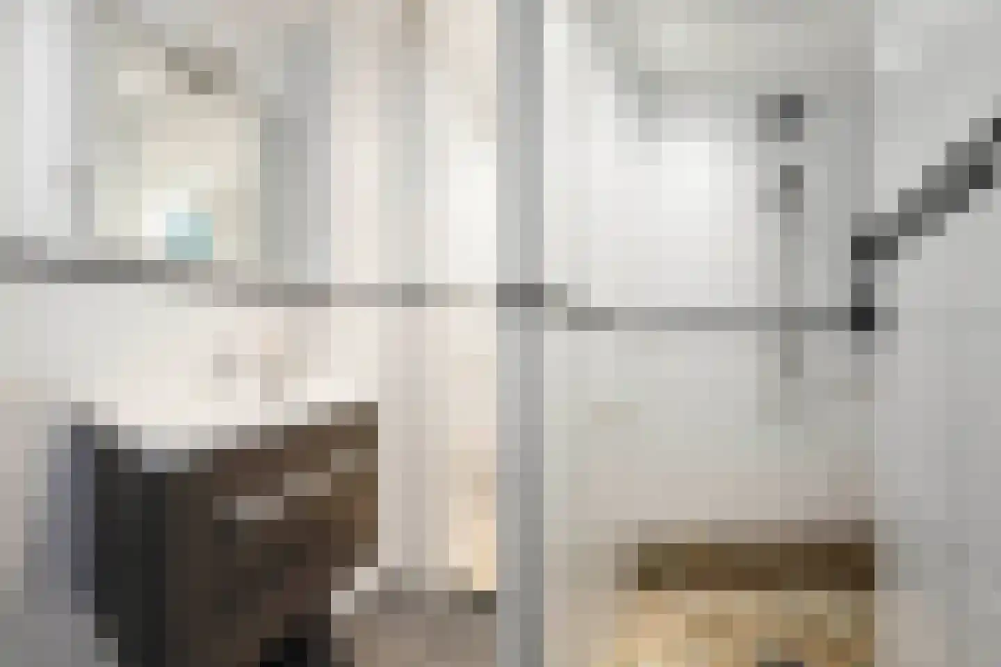 Soestdijksekade 335 Den Haag thumbnail 19