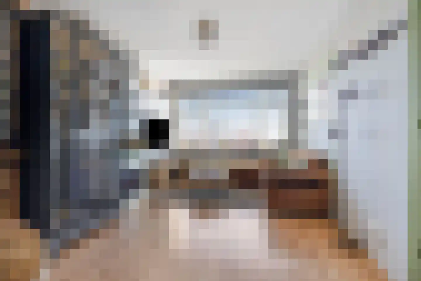 Soestdijksekade 335 Den Haag thumbnail 6