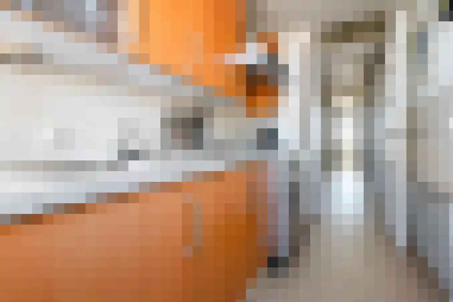 Soestdijksekade 335 Den Haag thumbnail 9