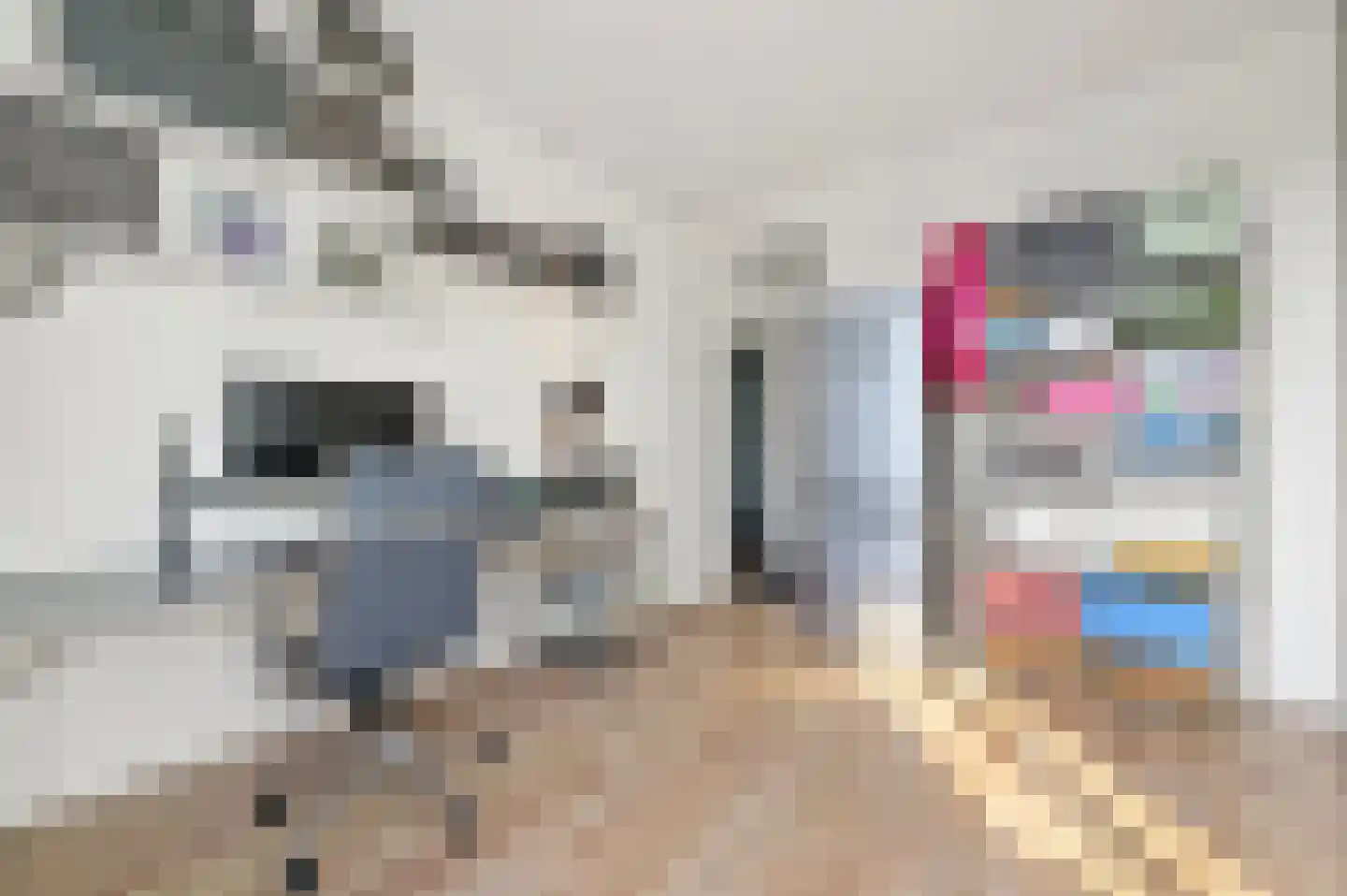 Soestdijksekade 370 Den Haag thumbnail 29