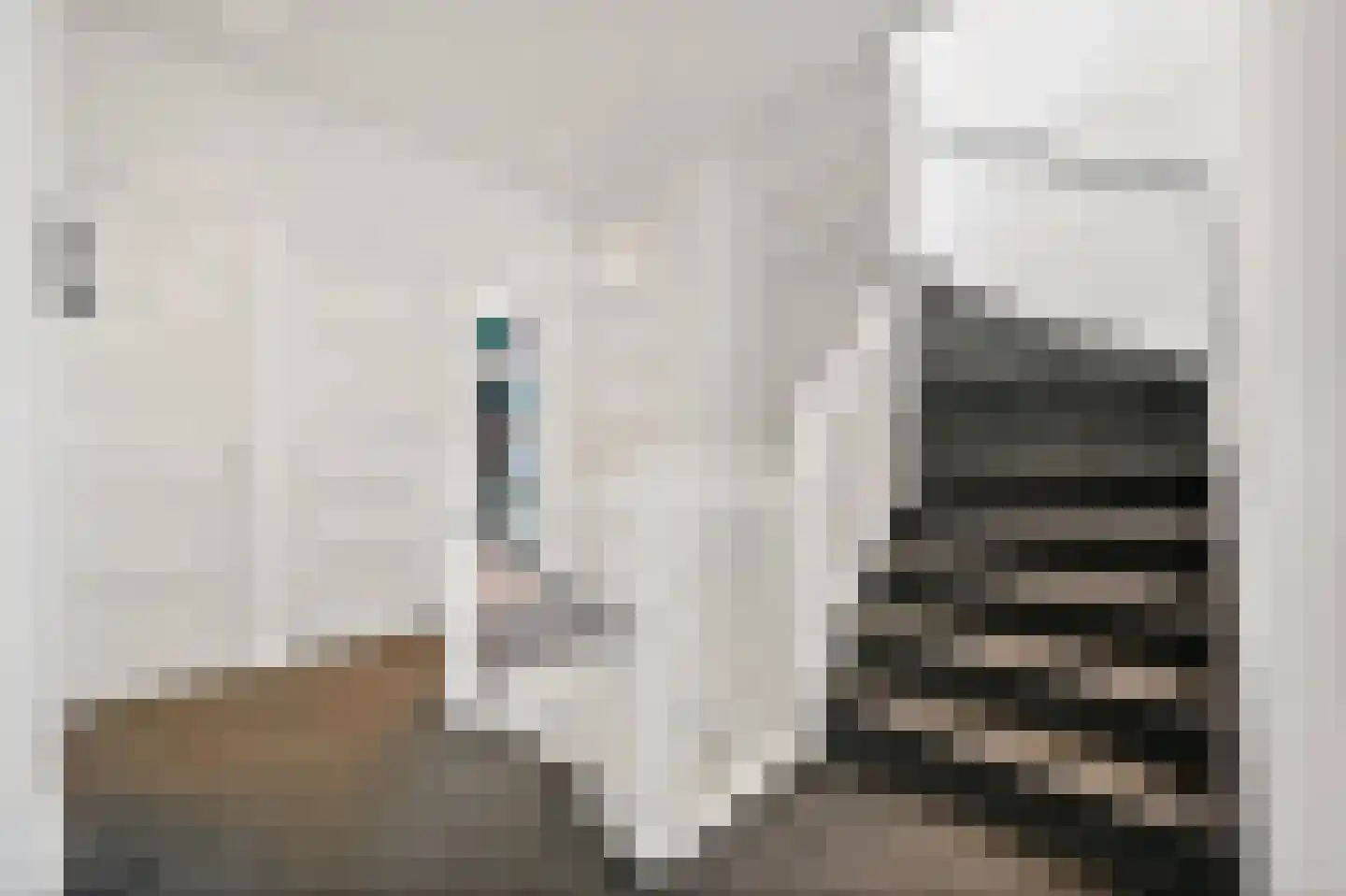 Soestdijksekade 370 Den Haag thumbnail 30
