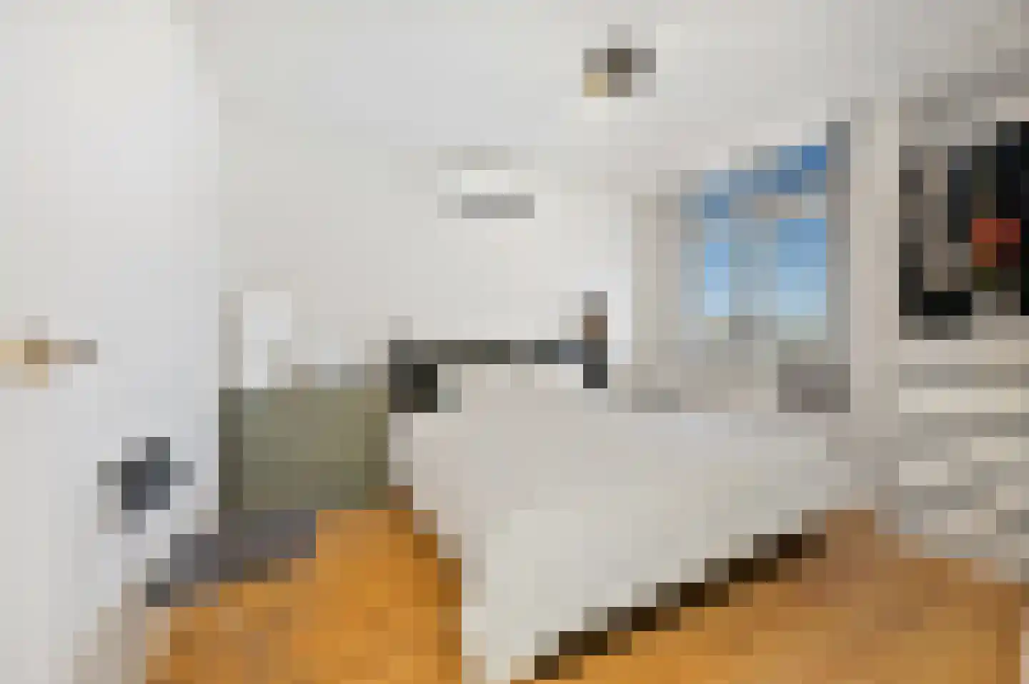 Soestdijksekade 370 Den Haag thumbnail 32