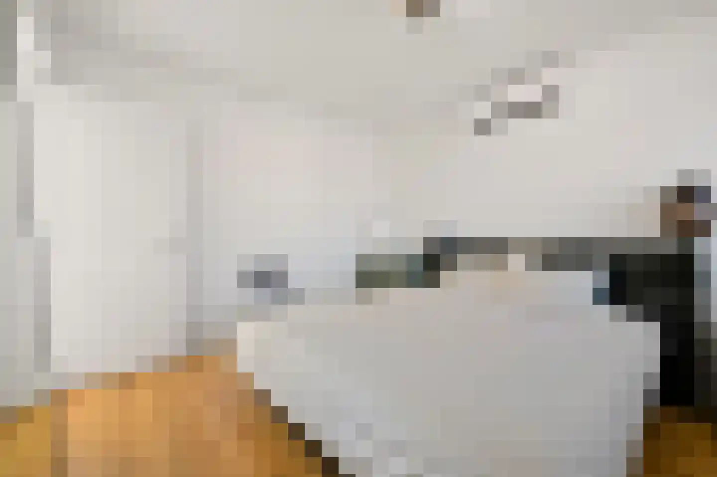 Soestdijksekade 370 Den Haag thumbnail 33