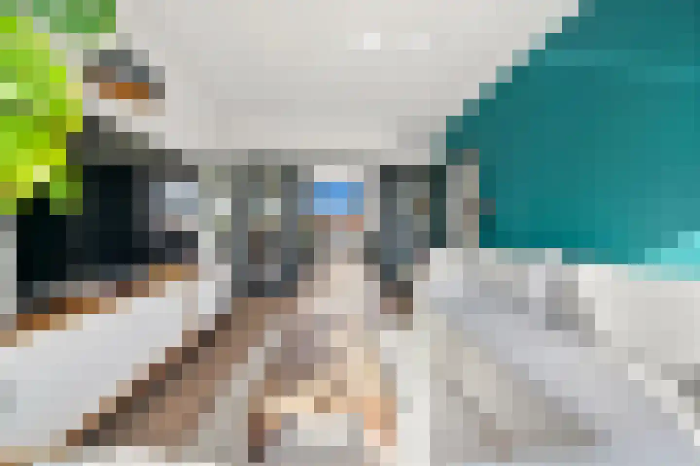 Soestdijksekade 370 Den Haag thumbnail 9