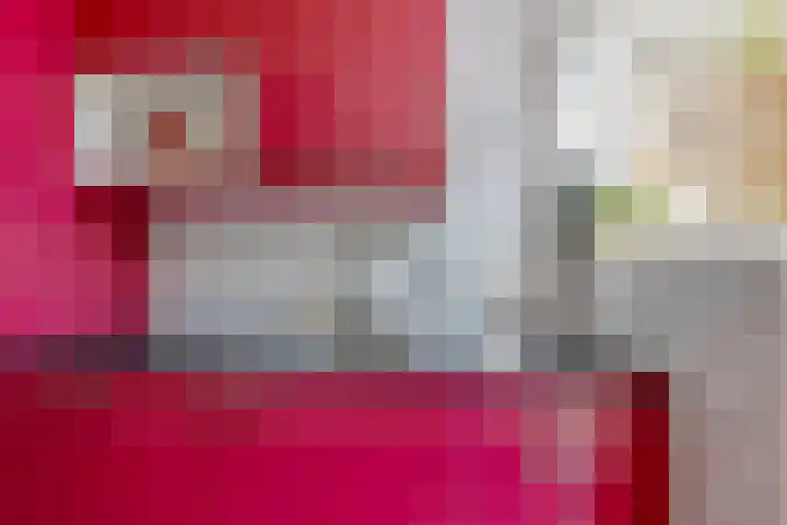 Soestdijksekade 4 Den Haag thumbnail 10